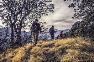 Hiking Image