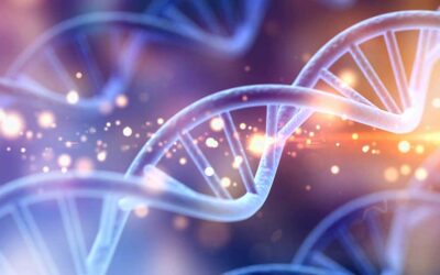 The Connection Between Genetics and Your Oral Health